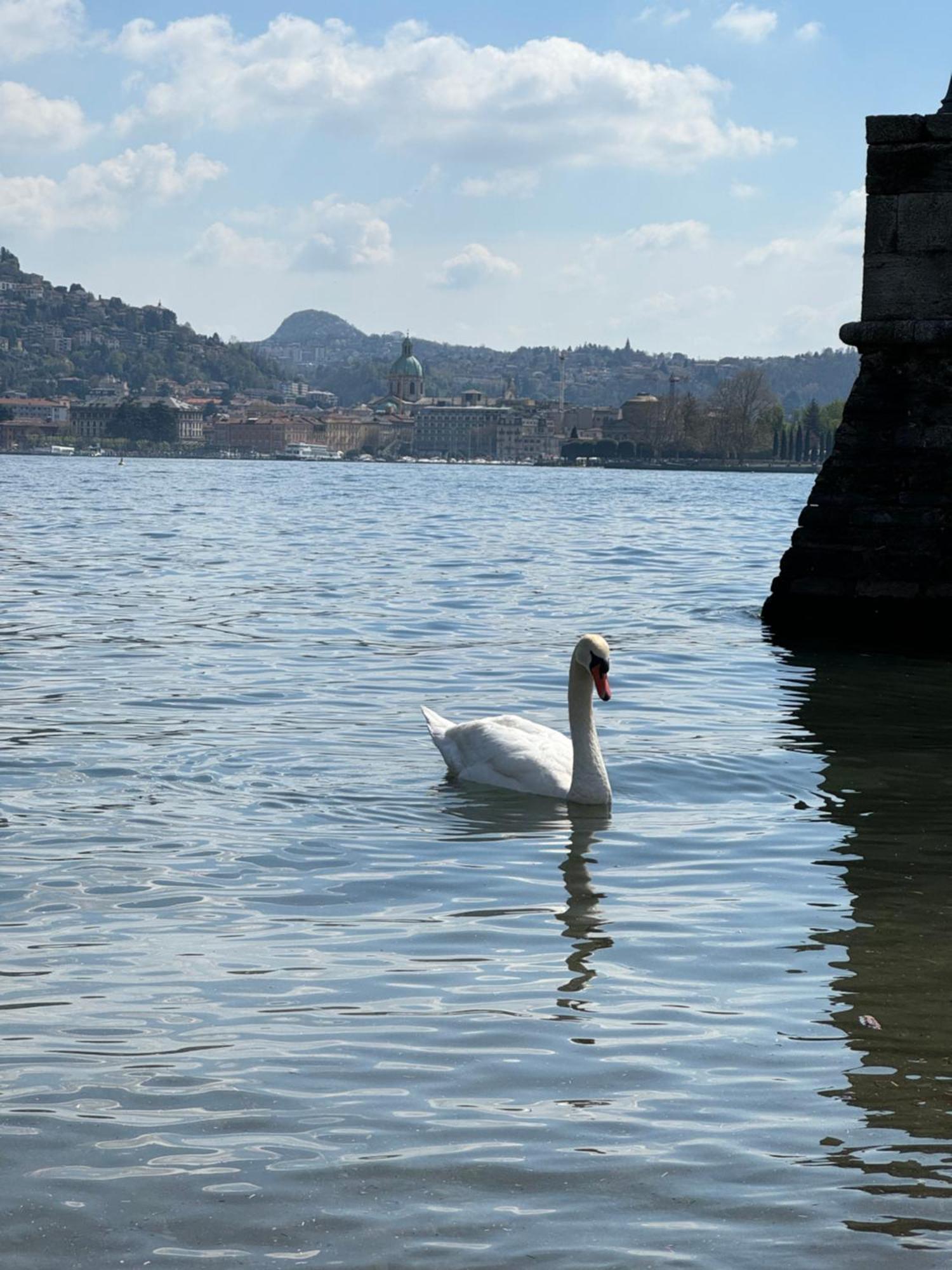 Portatorre Suite, A Charming Apartment In The Heart Of Como, Free Private Parking, Air Conditioning & More! Exterior foto